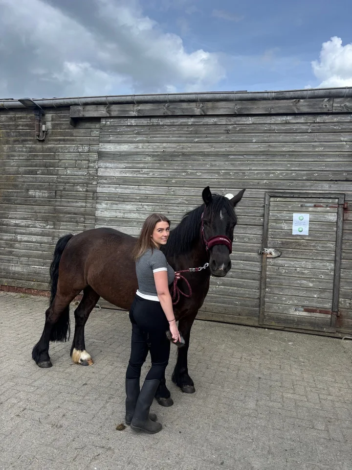Demi staat naast een donker paard voor een houten stal